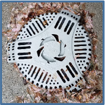 Drain Defender outdoor drain filter keeps out flower blossoms and petals from outdoor drains