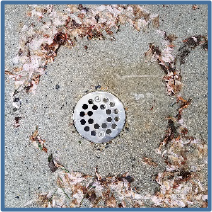 Drain Defender outdoor drain filter keeps out flower blossoms and petals from outdoor drains
