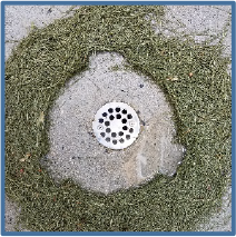 Drain Defender outdoor drain pipe cover protects drains from grass clippings