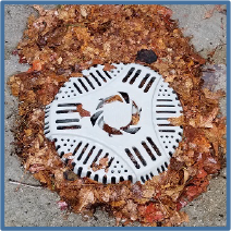Drain Defender protects against clogged outdoor drain pipes